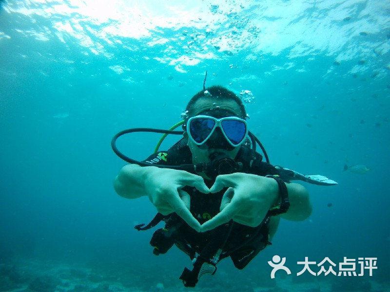 虫虫助手下载